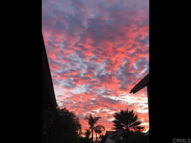 Sunset View
