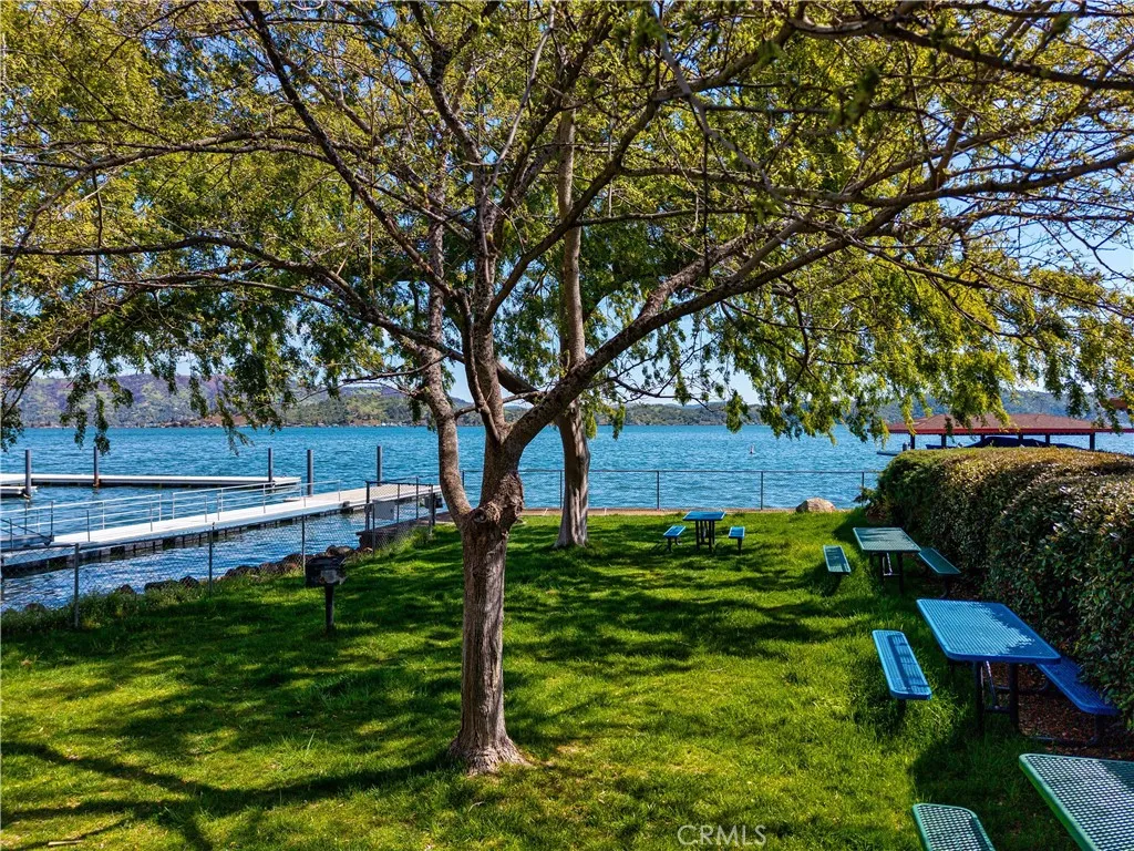 Marina Area