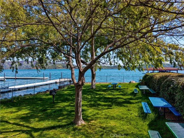 Marina Area