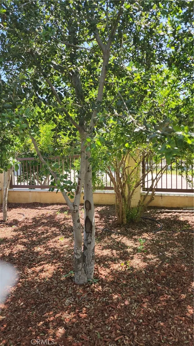 3112 3130 1st Street, Riverside, California 92507 home-pic-68