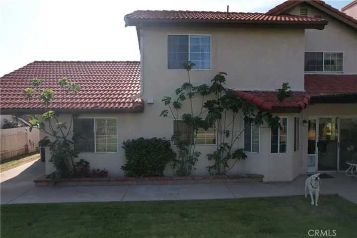 BACK OF HOUSE