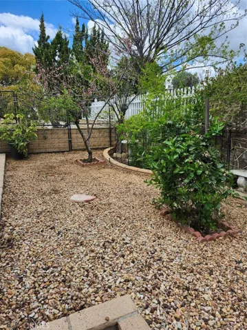 With numerous fruit trees in bloom