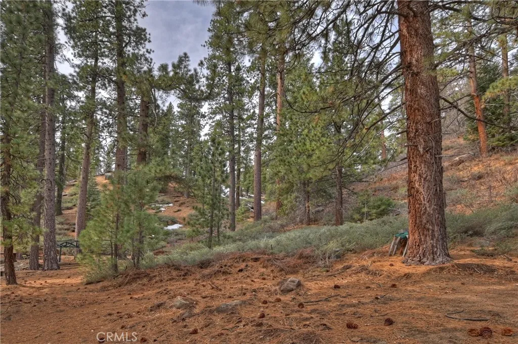 39128 North Shore, Fawnskin, California 92333 home-pic-71