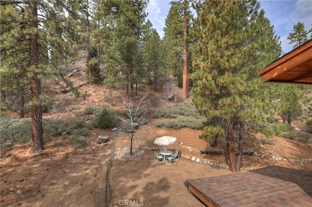 39128 North Shore, Fawnskin, California 92333 home-pic-64