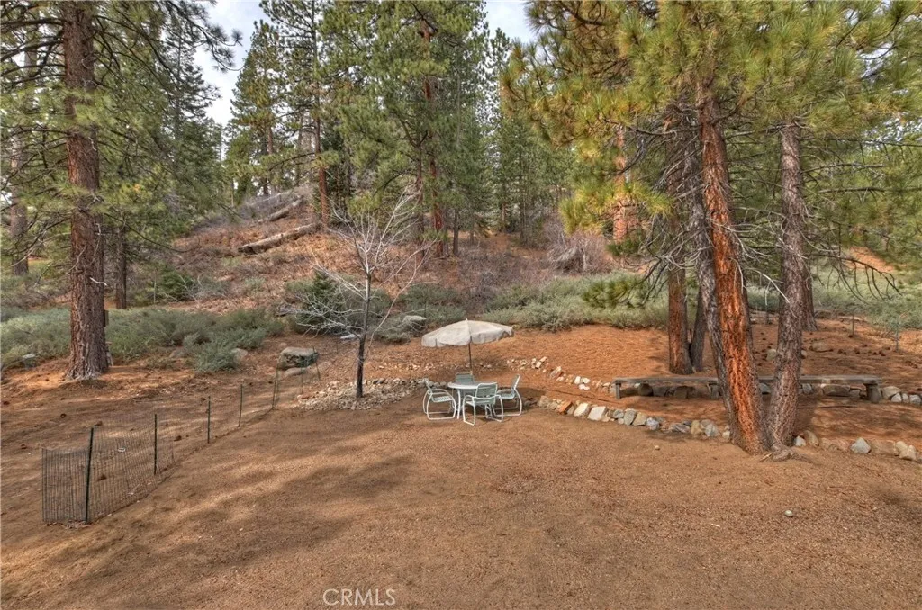 39128 North Shore, Fawnskin, California 92333 home-pic-67