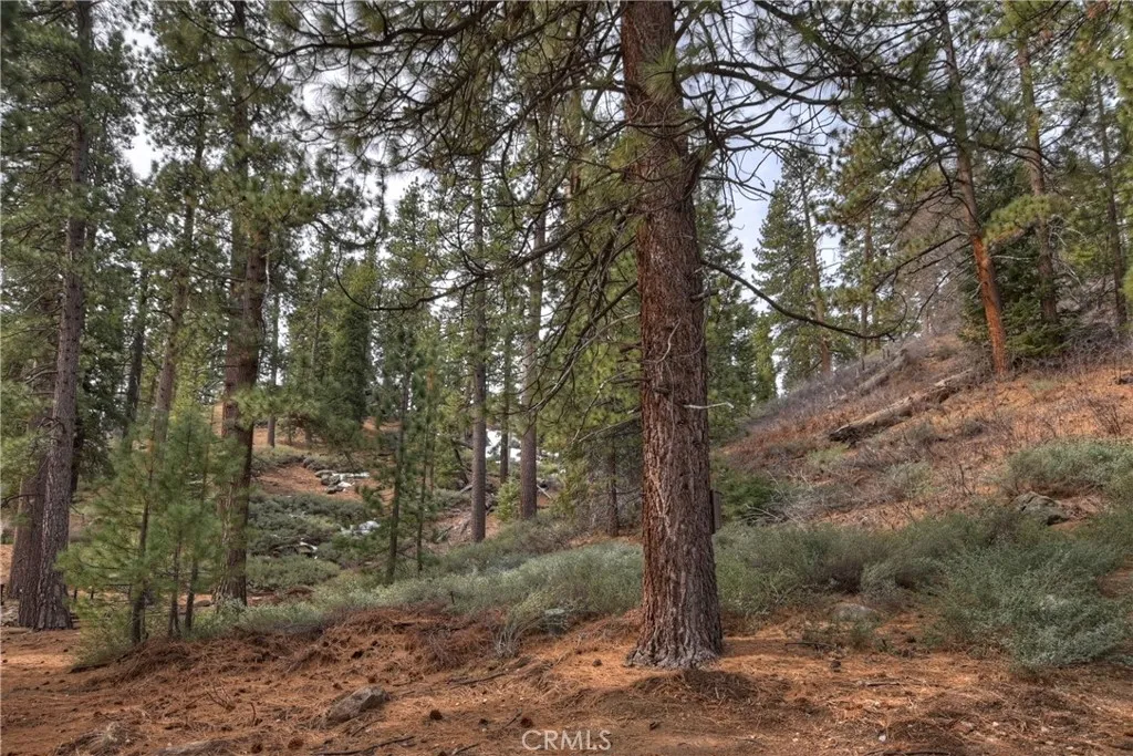 39128 North Shore, Fawnskin, California 92333 home-pic-70