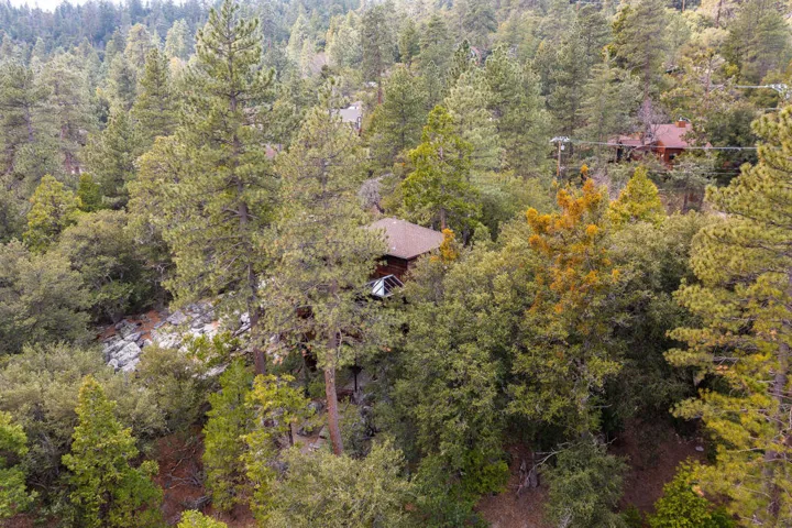 25504CedarGlenDr.-66