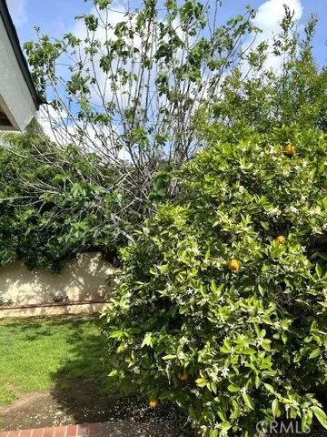 17232 Orange Drive, Yorba Linda, California 92886