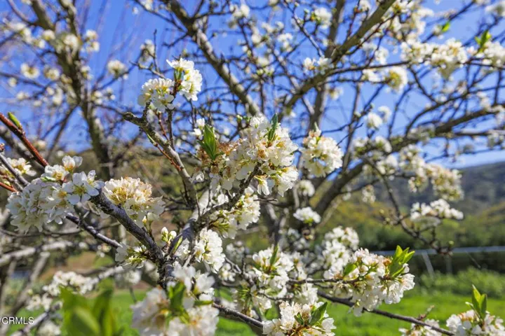 4a-web-or-mls-UpmarketMedia_4620C-272