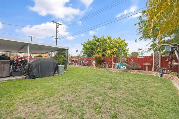 Back yard