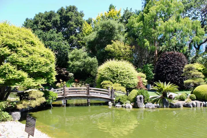 1249 Oak Street, San Mateo, California 94402