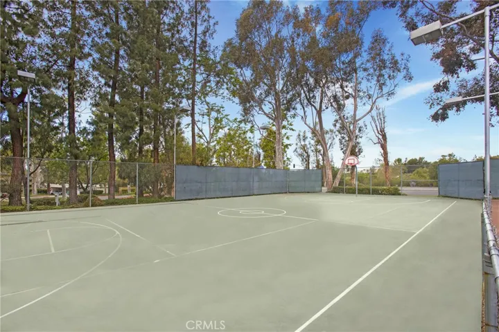 HOA basketball courts