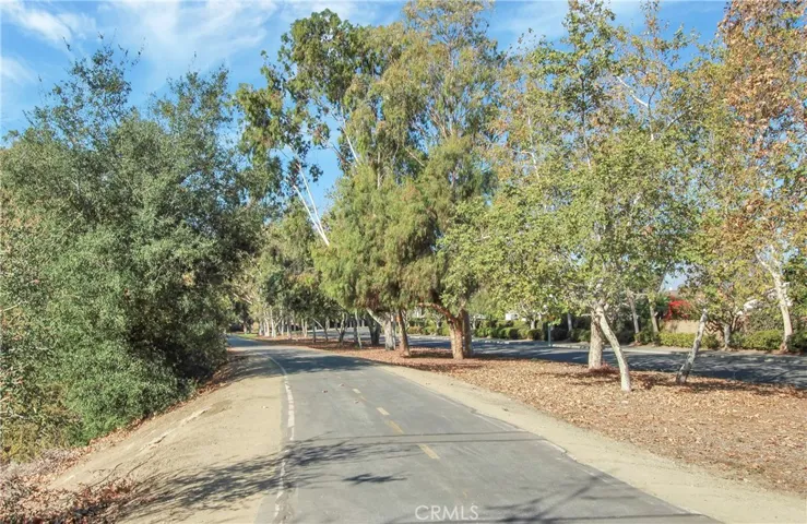 Did you know Aliso Creek Trail / Bikeway goes all the way to Aliso Viejo? The path is just across the street from Pheasant Creek. Grab your ebike and enjoy OC's gorgeous scenery!