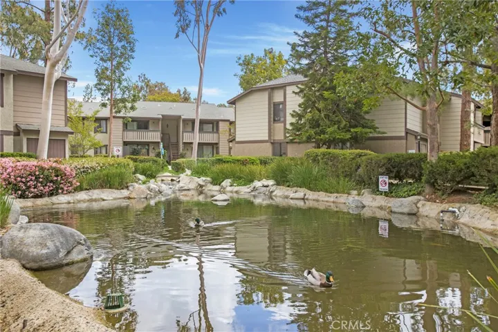 Friendly ducks & tranquil ponds throughout the grounds