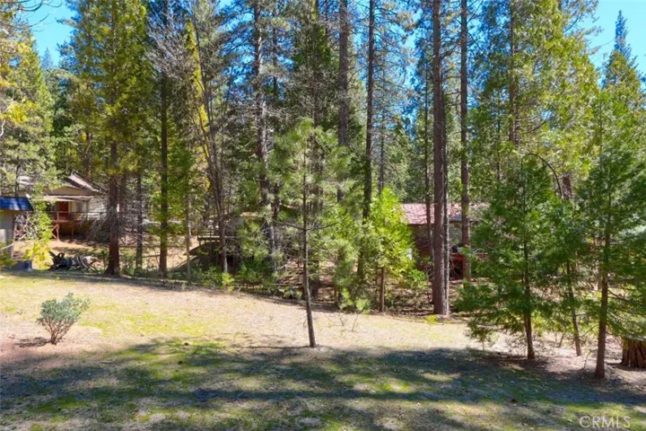 2646 W Bruce Road, Wawona, California 95389