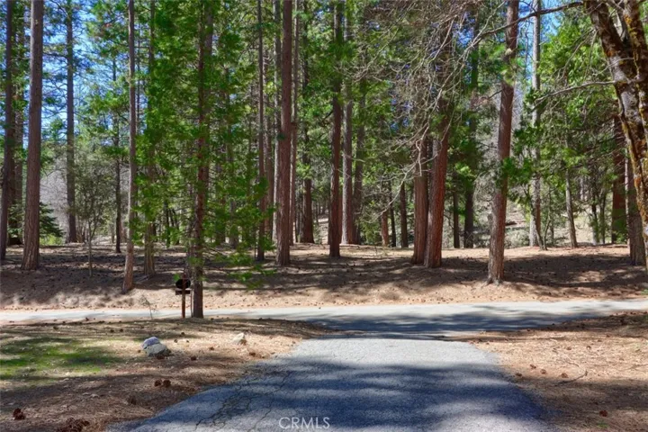 2646 W Bruce Road, Wawona, California 95389