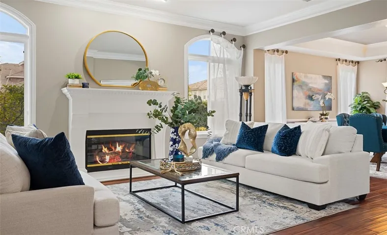 Formal Living Room Fireplace #1
