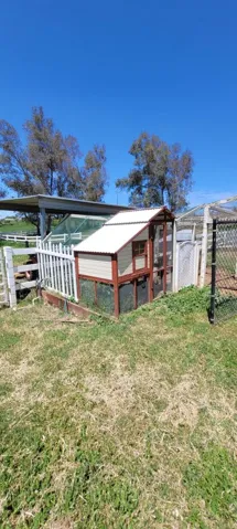 Chicken Coop