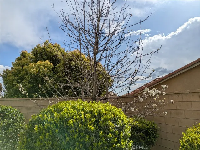 5318 Daytime Avenue, Fontana, California 92336