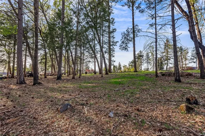 998 Wagstaff Road, Paradise, California 95969