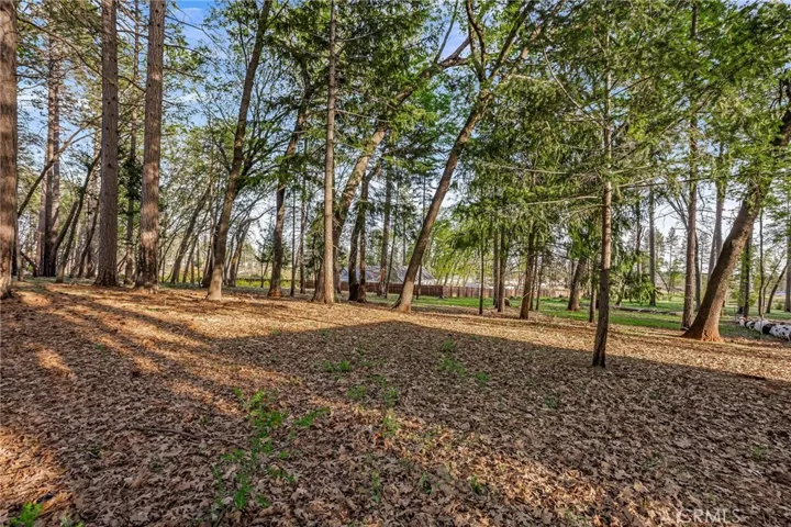 998 Wagstaff Road, Paradise, California 95969