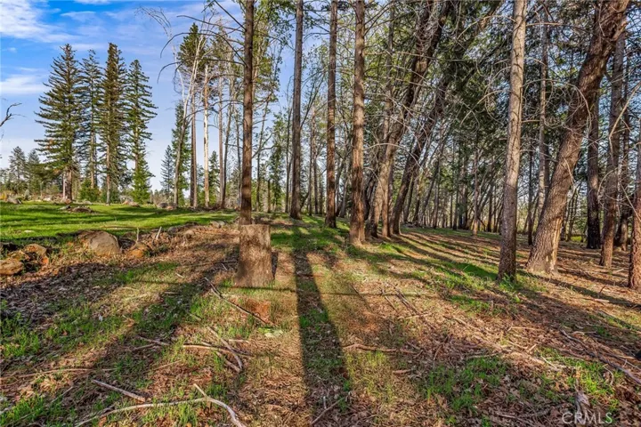 998 Wagstaff Road, Paradise, California 95969