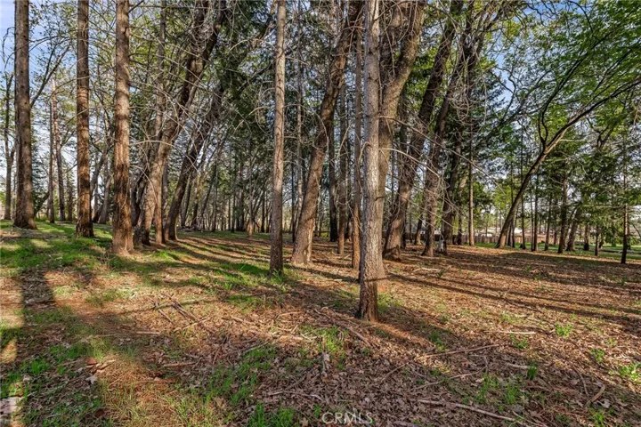 998 Wagstaff Road, Paradise, California 95969