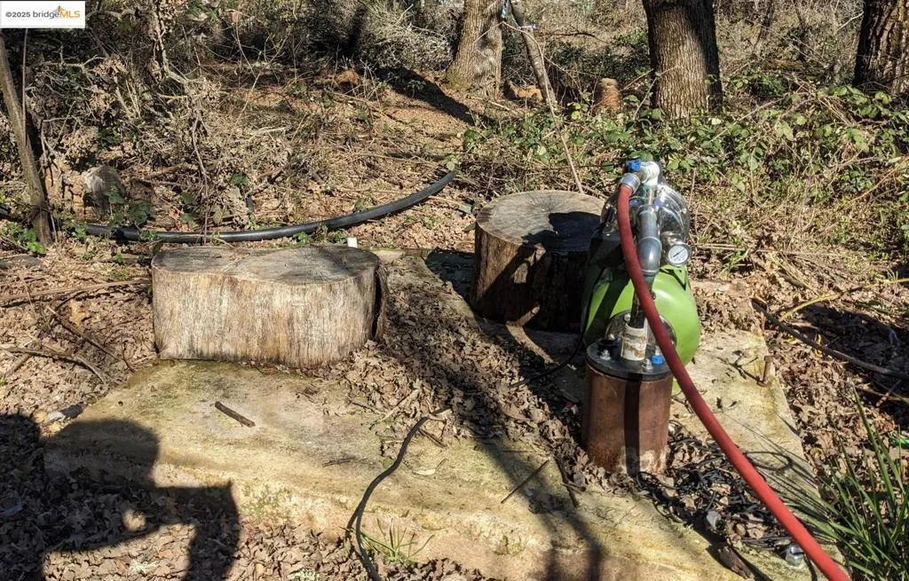Well - casing is rusted however. Water table never got below 12 feet in past two years