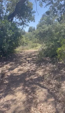 0 Mother Grundy Truck Trail, Jamul, California 91935