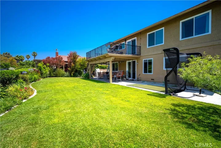 Beautiful Backyard with New Grass