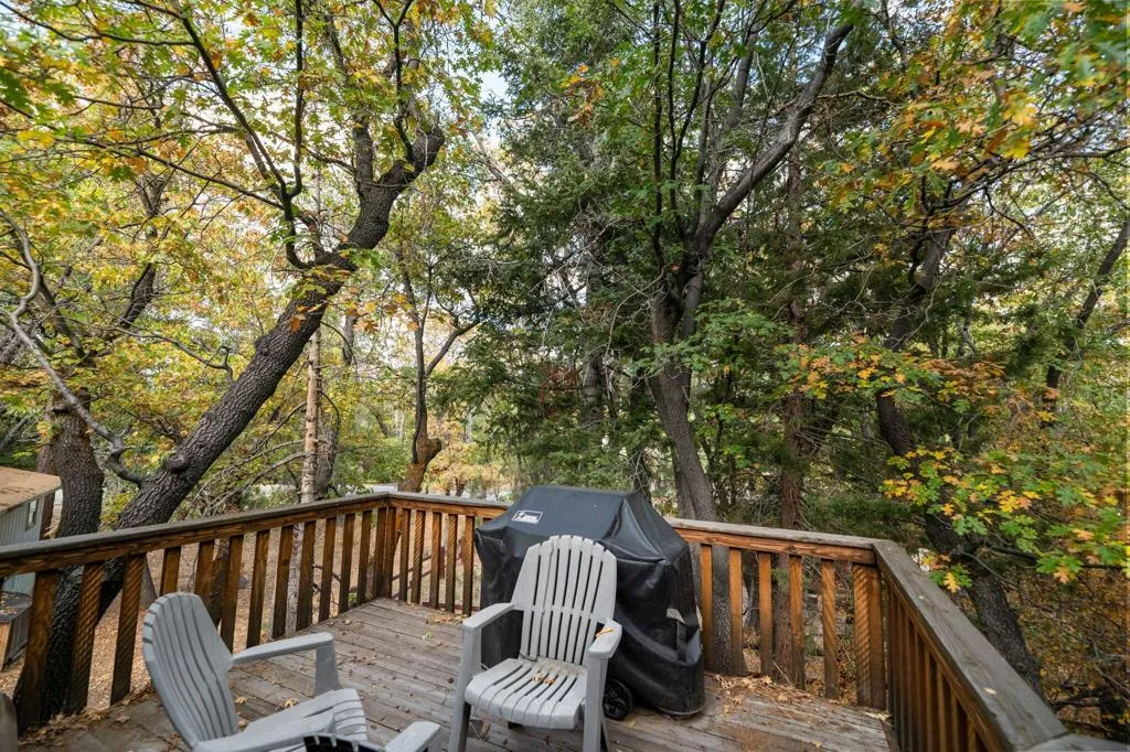 1464 Rockspray Drive, Big Bear, California 92315 home-pic-24