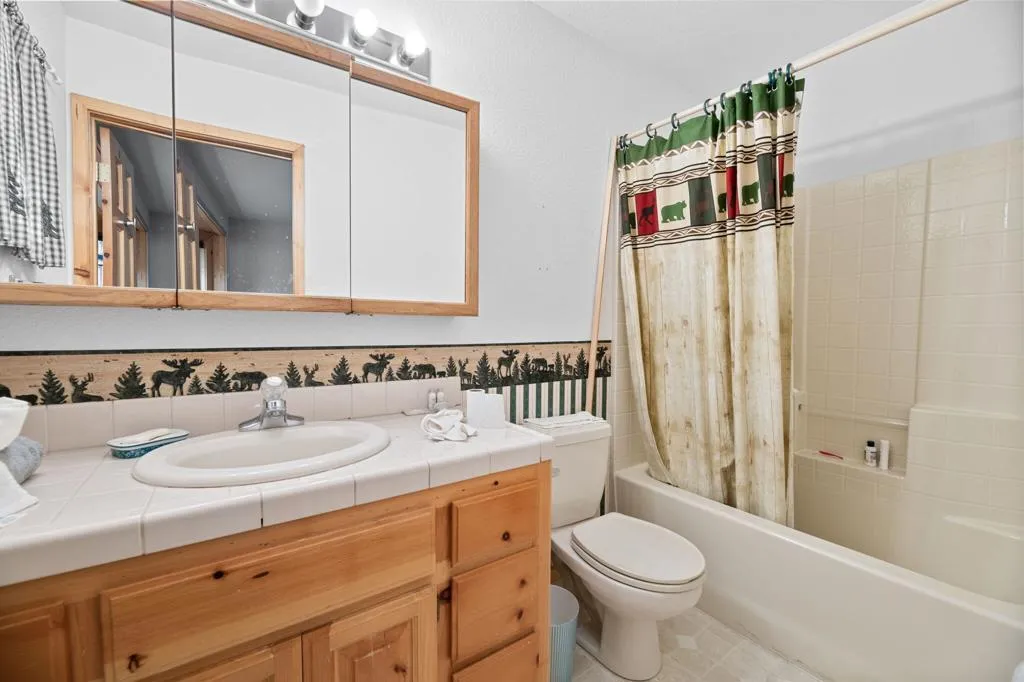 1464 Rockspray Drive, Big Bear, California 92315 home-pic-22