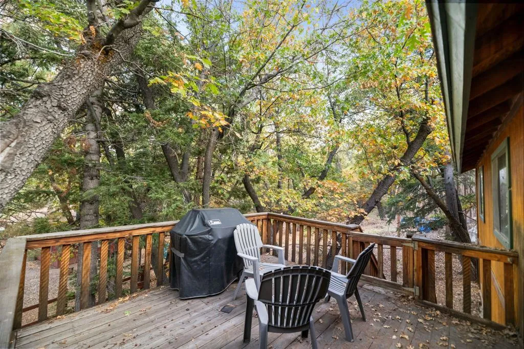 1464 Rockspray Drive, Big Bear, California 92315 home-pic-23