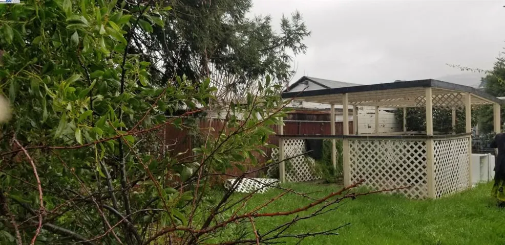 Garden and Trellis