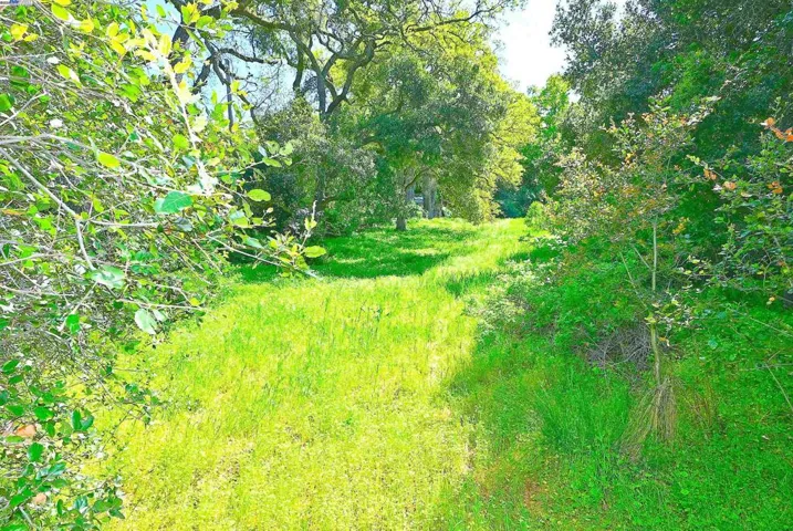 5070 Morgan Territory Rd, Clayton, California 94517