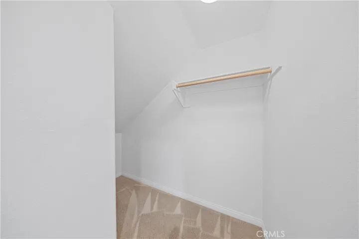 Closet Storage Under Stairs