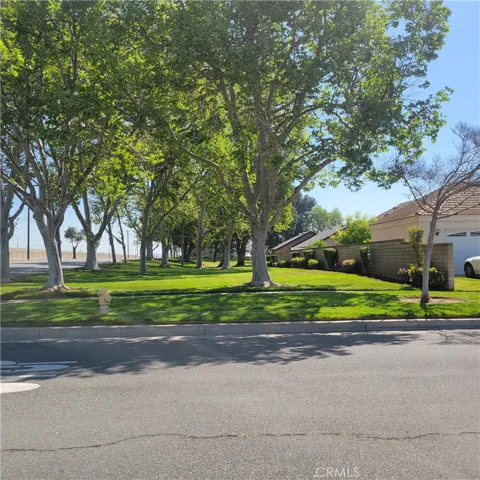 community park