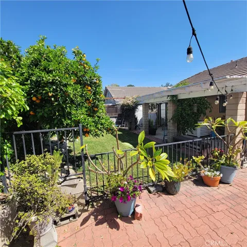 Back yard