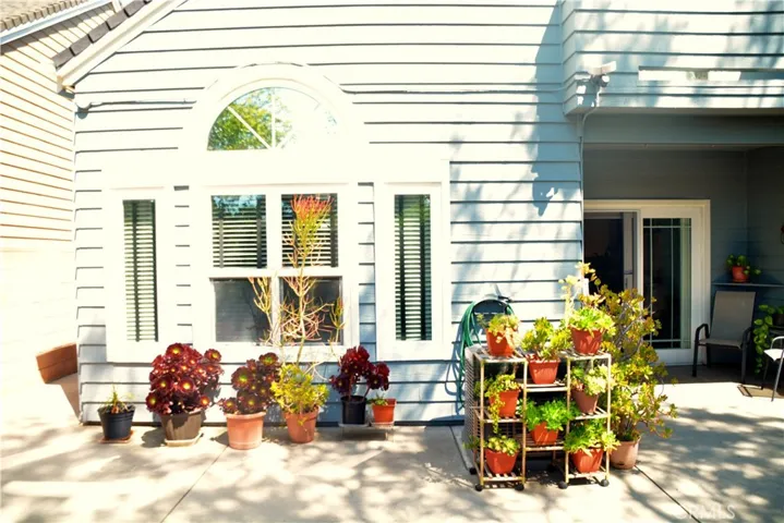 BACK OF THE HOUSE