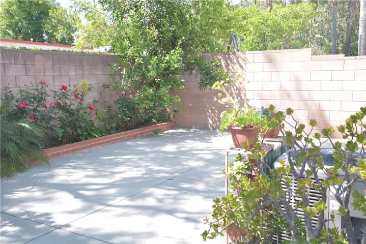 LARGE BACKYARD