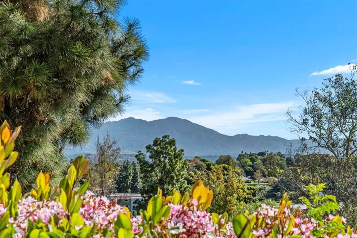 3337 Punta Alta 1a, Laguna Woods, California 92637