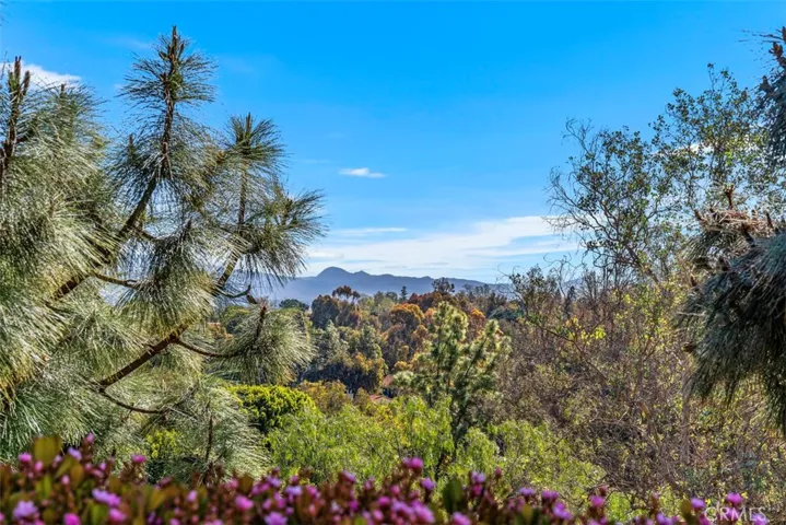 3337 Punta Alta 1a, Laguna Woods, California 92637