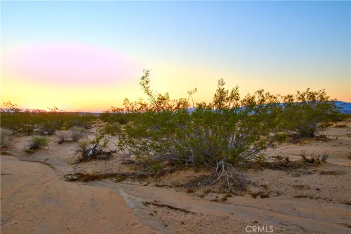 1475 Windsong Avenue, Joshua Tree, California 92252