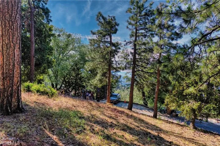 246 Lot Ferndale Dr, Running Springs, California 92382 — photo 5