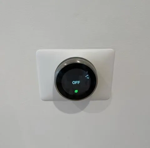 nest