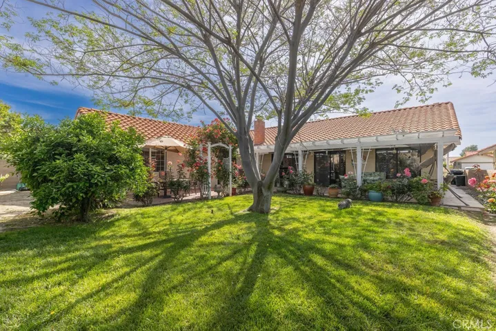 Landscaped backyard