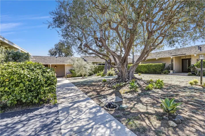 Situated on a courtyard green area with mature olive tree