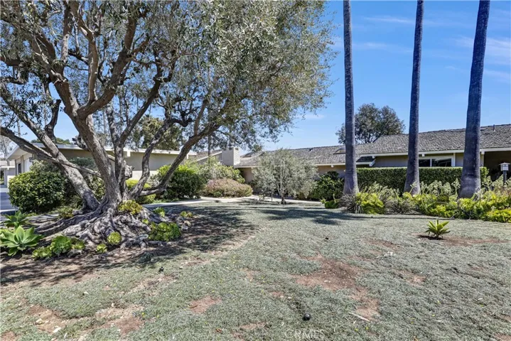 Situated on a courtyard green area with mature olive tree