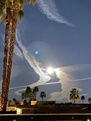 Backyard Moon at night