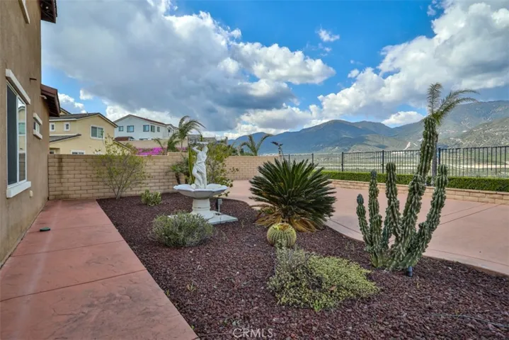Water tolerant cactus garden